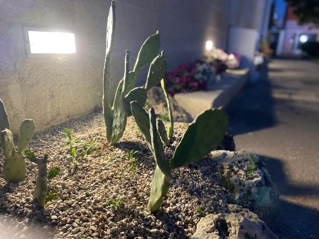 Bed and Breakfast Viro House Squinzano Экстерьер фото