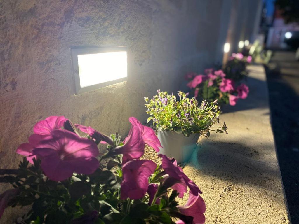 Bed and Breakfast Viro House Squinzano Экстерьер фото